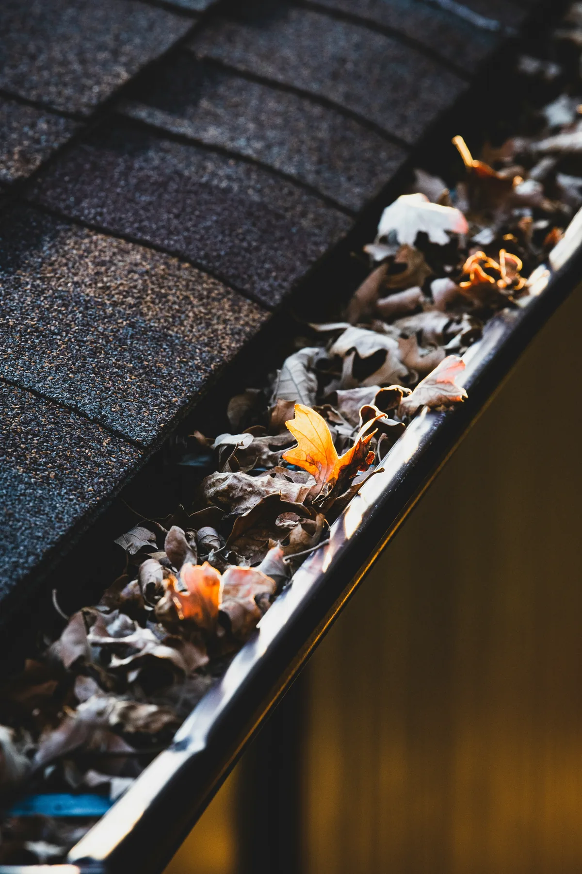 Detailed stock photo of residential roof and gutter maintenance