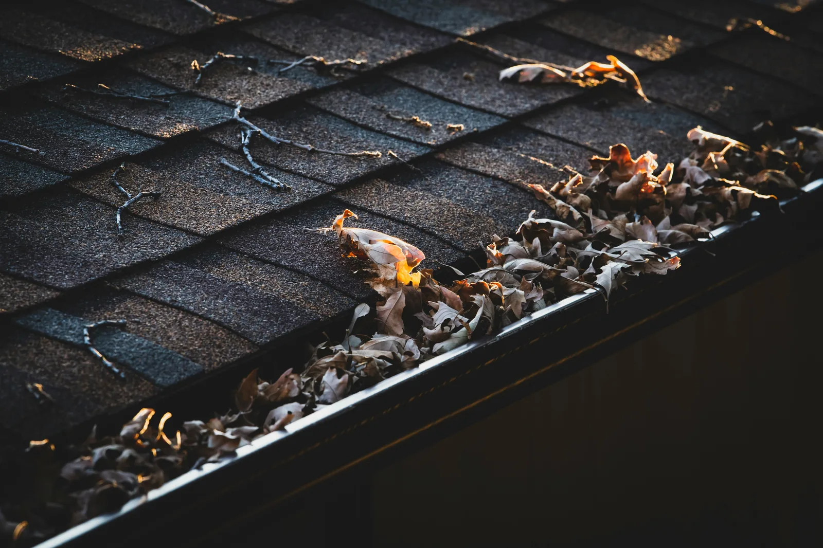 Close view of a roof gutter filled with dry leaves